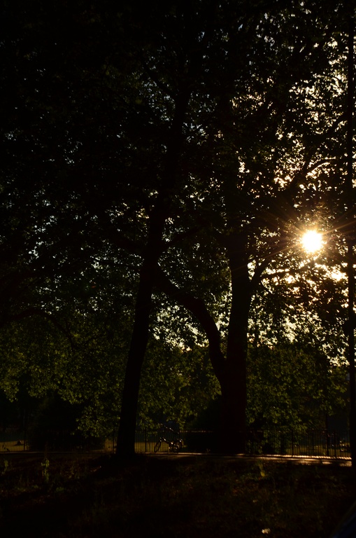 London/River Lea/DSC_0286.JPG